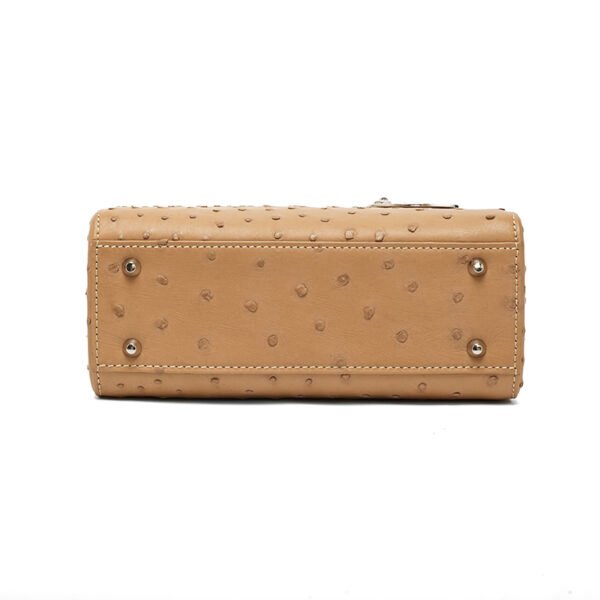 Y-009 four-grid/Ostrich/Milk Tea Color