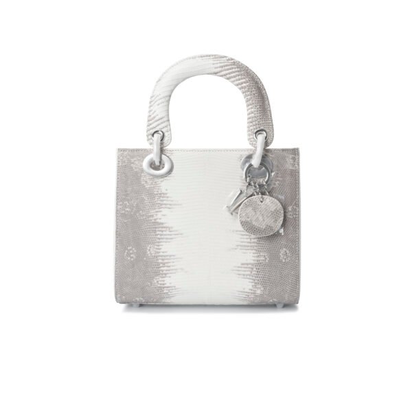 Y-009 four grid lizard Himalayan beige