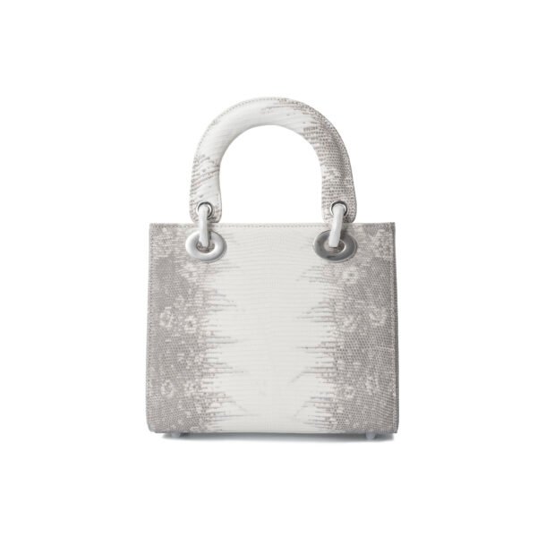 Y-009 four grid lizard Himalayan beige